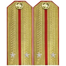 Береговая служба ВМФ СССР. Младший офицерский состав, погоны обр. 1943 г..